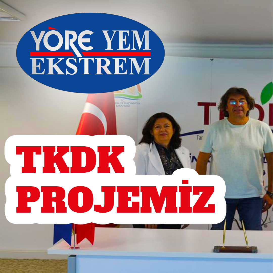 TKDK Projemiz